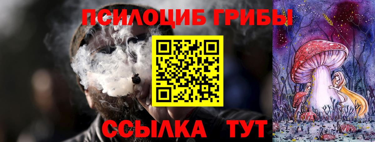 Сегежа  Галлюциногенные грибы Psilocybe  Вход с VPN 