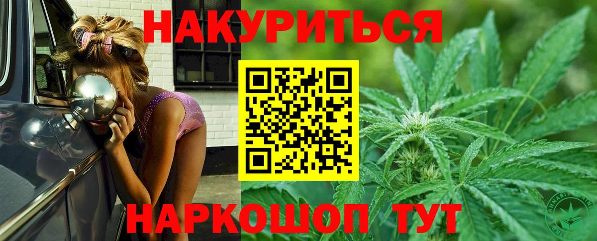 Бошки Шишки конопля Сегежа